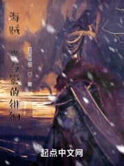 海贼光辉之路 海贼光辉之路