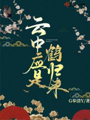 云中鹤作者 云中鹤作者