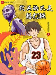 我真的只是想打铁 大神 我真的只是想打铁 大神