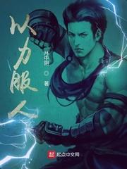 以力服人笔趣阁 以力服人笔趣阁