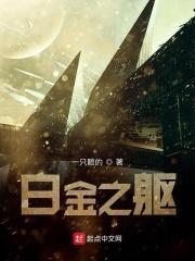 白金之躯仙道元神的高妙 白金之躯仙道元神的高妙