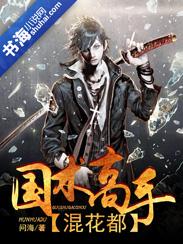 国术高手在都市笔趣阁 国术高手在都市笔趣阁