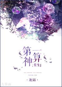 第一神算全文免费 第一神算全文免费