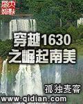 穿越1630之崛起南美公众号文章 穿越1630之崛起南美公众号文章