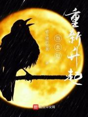 当太阳重新升起当月亮再次落下解密