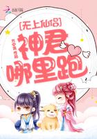 无上神君免费阅读