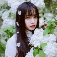 为你打开一扇窗 为你打开一扇窗