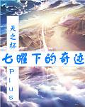 七曜下的奇迹 七曜下的奇迹