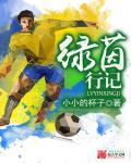 绿茵行记 绿茵行记