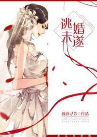 逃婚未遂 逃婚未遂