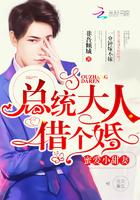 总统大人,借个婚! 总统大人,借个婚!