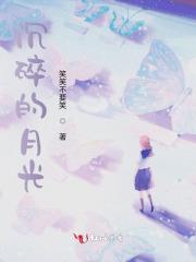 沉碎月光 沉碎月光
