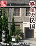 铁血大民国 铁血大民国