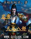 武帝之天龙八部 武帝之天龙八部