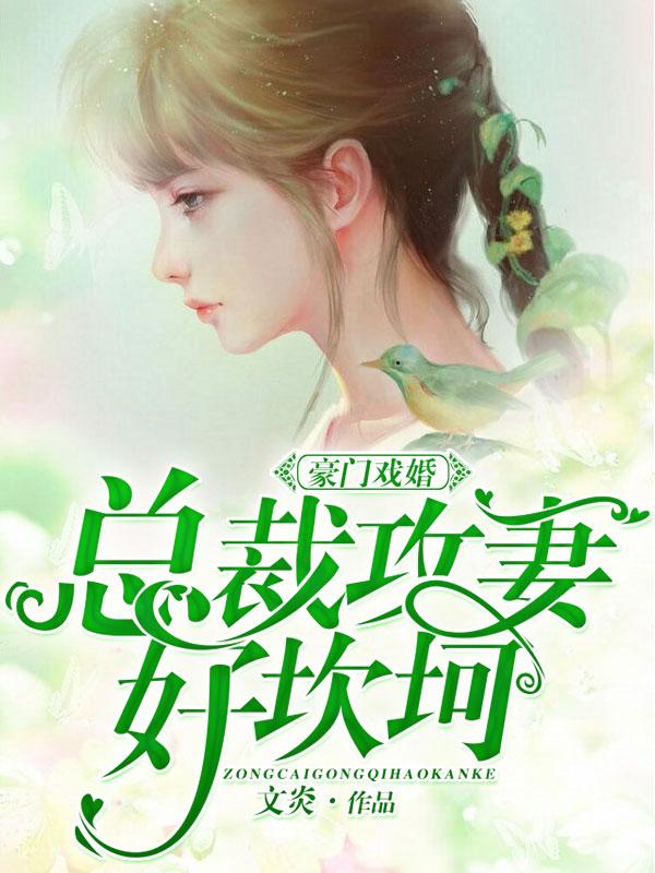 豪门戏婚:总裁攻妻好坎坷 豪门戏婚:总裁攻妻好坎坷