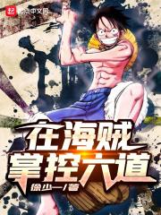 海贼之六道txt