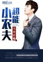 超能小农民赵富贵