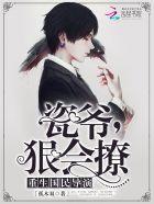 重生国民男神瓷爷很会撩