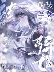 伪装圣子by帷幕灯火
