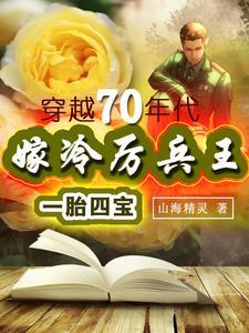 嫁冷厉兵王一胎四宝穿越70年代最