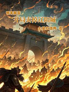 明末开局一条风帆战列舰 明末开局一条风帆战列舰