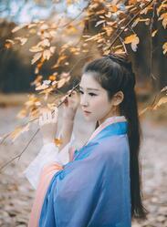 皇上太子又跑了